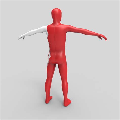 Morphsuit 슈퍼 히어로 의상 3d 모델 129 3ds Fbx Obj C4d Max Free3d