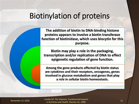 Metabolic Functions Of Biotin Ppt Download