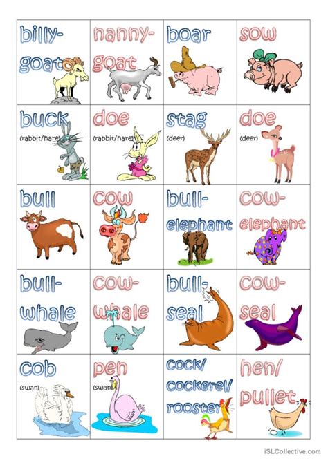 Nouns Gender Animals: English ESL worksheets pdf & doc