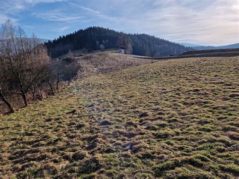 Dzia Ka Zawoja Bez Po Rednika M