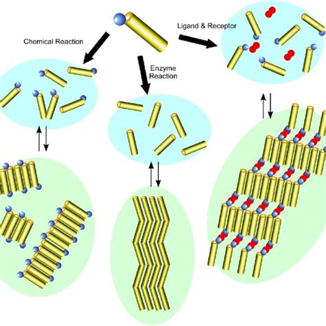 Instructed Assembly Defined As The Self Assembly Process For Ordered Download Scientific