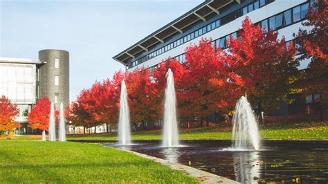Les études à l'université de Warwick, avec Study Experience