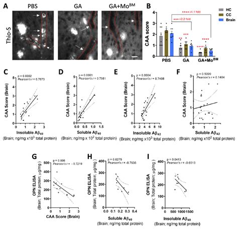 Reduced Cerebral Vascular Amyloid And Ab Burden Correlate With