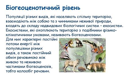 Рівні організації живого - презентация онлайн