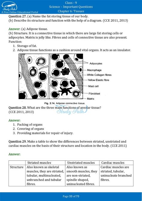 Important Questions For Class 9 Science Chapter 6 Tissues Study Path