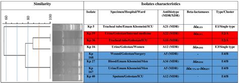 Frontiers Beta Lactamase Determinants And Molecular Typing Of