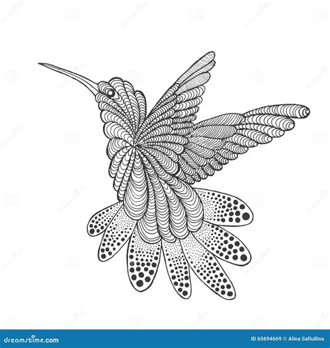 Zentangle Stylized Hummingbird Stock Vector Illustration Of