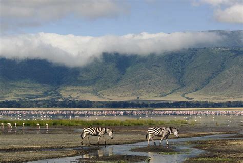 Ngorongoro Conservation Area The Complete Guide