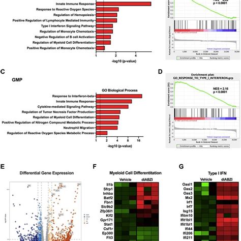 Systemic Administration Of Sting Agonist Inhibits Melanoma Growth And