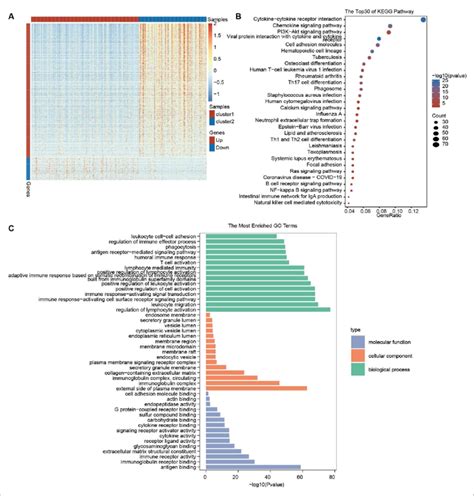 Differentially Expressed Genes And Function Enrichment Analysis Between