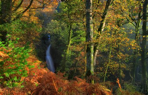 Hintergrundbilder 3725x2400 px Herbst Dockray England Wälder