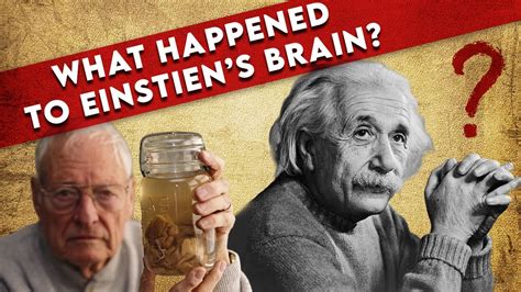 What Happend To Einstein S Brain After His Death Youtube