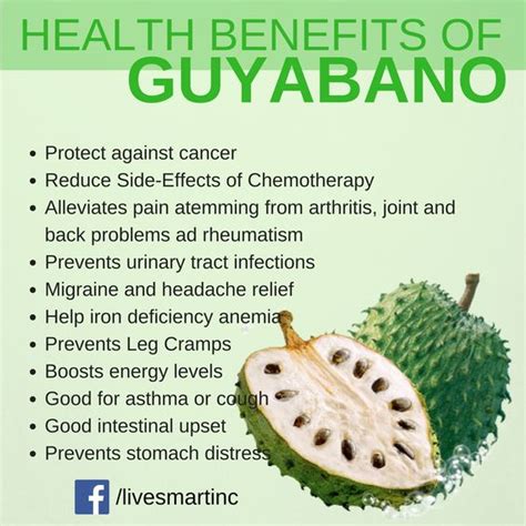 Health Benefits Of Guyabano