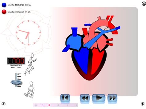 Utilisation Du Logiciel C Ur Svt Acad Mie De Besan On