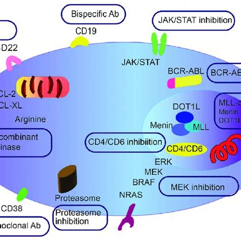 Overview Of Current Targets In Paediatric Acute Myeloid Leukaemia The