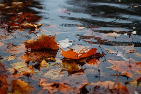 Meteo Halloween E Ognissanti Rischio Di Pioggia In Diverse Regioni