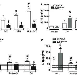 Differential Eicosanoid Metabolism Determines The Levels Of