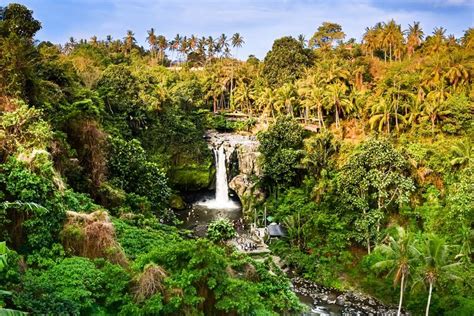 Air Terjun Sinar Tiga Destinasi Wisata Di Padang Cermin Pesawaran