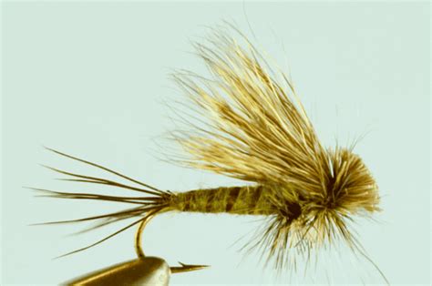 The Best Green Drake Fly Patterns Buy Or Tie