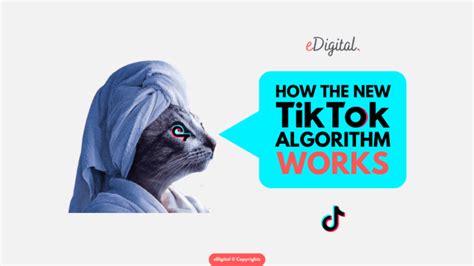 HOW TIKTOK ALGORITHM WORKS EDigital Agency