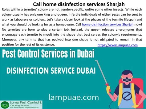 Ppt Pest Control Company Dubai Lampuae Powerpoint Presentation Free Download Id11286107