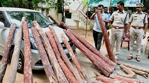 Red Sanders Task Force Arrests Most Wanted Smuggler Brothers In