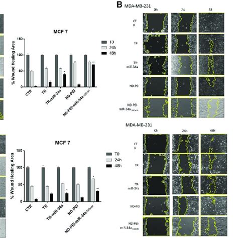 Effects Of Mir On Migration Of Mcf And Mda Mb Cells Confluent