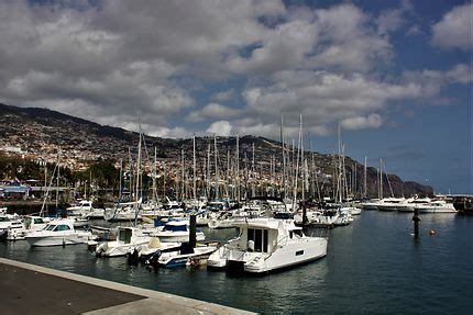 Vue Du Port De Funchal Bateaux Transport Mer Funchal C Te Sud