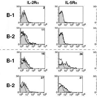 Three Color Immunofluorescence Analysis Of Siga B A B B And B