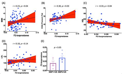 Relationship Between Bmi And Other Anthropometric Dxa Measurements And