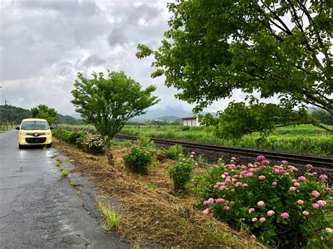 「紫陽花の咲く道にて②」pr Sachiのブログ ｜ 荷物車で何処までも みんカラ