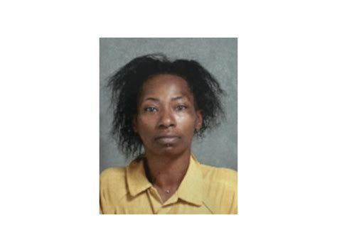 Flint Woman Charged With Allegedly Running Over And Killing Boyfriend The Courier News