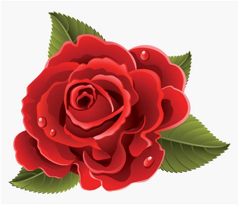 Rosas Rojas Vector Png Rosas Rojas Dibujos Png Transparent Png Kindpng