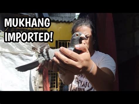 DAGIT NA KALAPATI SWERTE MUKHANG IMPORTED YouTube