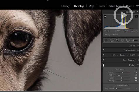 How To Add Detail And Texture Entirely In Lightroom For An Hd Look