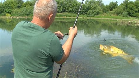 Pecanje Soma Arana I Tuke Kod A Ka Zapadna Morava Jezero Samaila