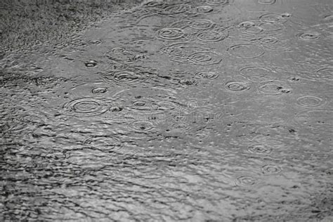 View Of Heavy Pouring Rain On City Street Stock Image Image Of