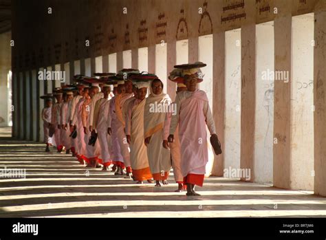 Procession Of Nuns Female Monks Myanmar Burma Stock Photo Alamy