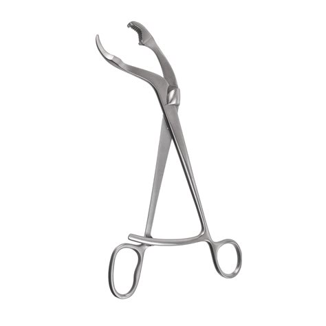 Verbrugge Bone Holding Forceps Long Ratchet Boss Surgical Instruments