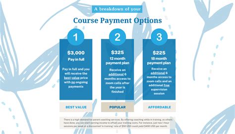 Instructor Training Payment Options Desktop The Peaceful Parent