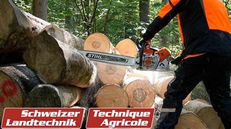 Stihl Ms I Motors Ge Mit Elektronischer Einspritzung Im Test