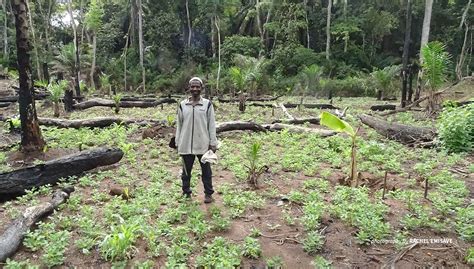 Africa Climate Week How Sustainable Farming Transforms Life In Drc African Wildlife Foundation