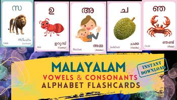 Malayalam Alphabet Flashcard Both Vowels And Consonants Learning