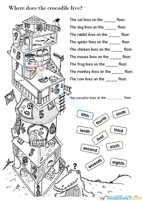 Where Does The Crocodile Live Worksheet