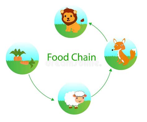 Basic Food Chain Clipart