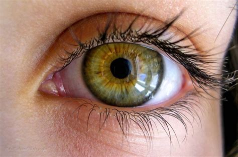 33 Of The Most Beautiful Pairs Of Eyes To Grace Our Facebook Wall Beautiful Eyes Color Eye