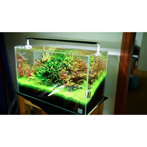 Rampe led Chihiros A601 version II 60cm éclairage led aquarium design ...