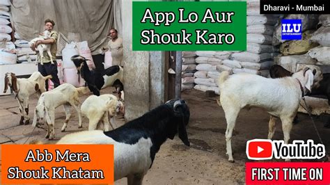 Abb Zabardast Quality Best Price Shouk Khatam App Lo Aur Shouk Karo