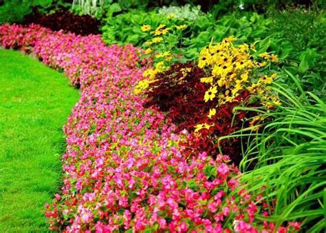 First Rate Full Sun Flower Bed Ideas Just On Indoneso Home Design