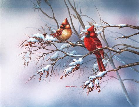 Cardinal In Sumac Painting By Wanda Mumm Fine Art America